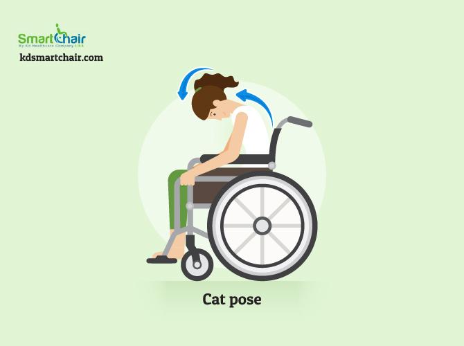 wheelchair yoga cat pose