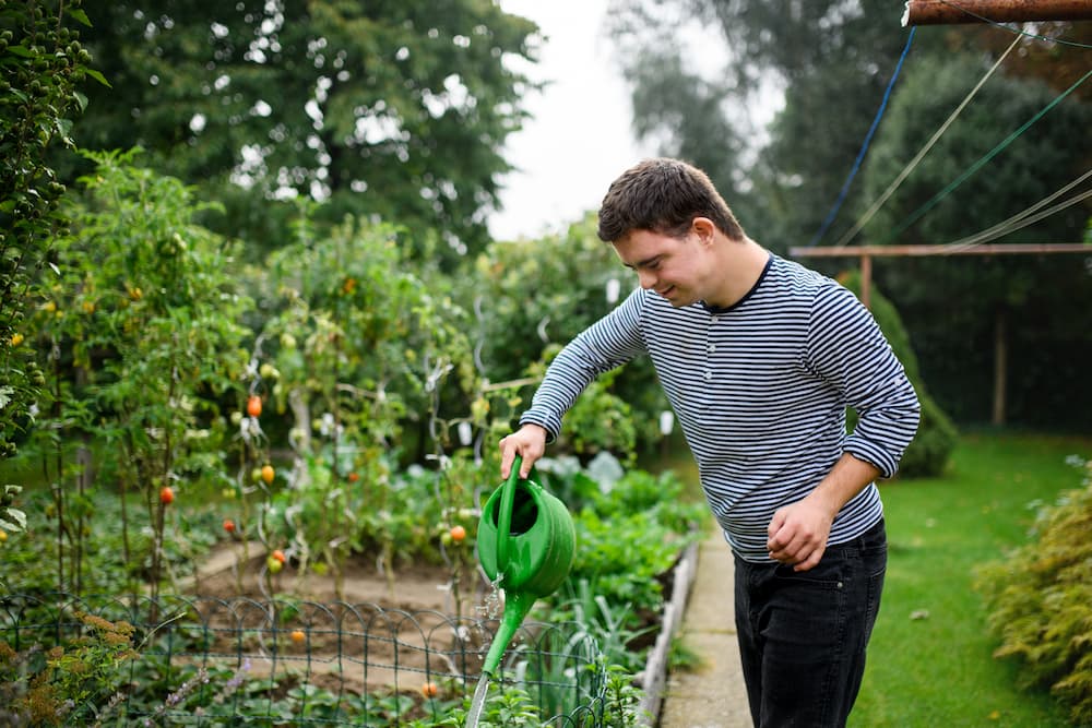 Down syndrome adult man watering plants outdoors in vegetable garden, gardening concept