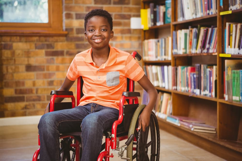 There are 13 categories of disabilities that can adversely affect a child's educational performance, social development, and overall quality of life. These 13 categories include physical impairments, learning difficulties, emotional and behavioral disorders, health impairments, and other conditions that interfere with the ability to learn. Understanding these 13 categories is important to provide effective support for children experiencing any disability. Let's get right into it