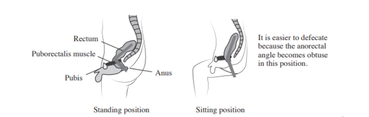 bowel positioning