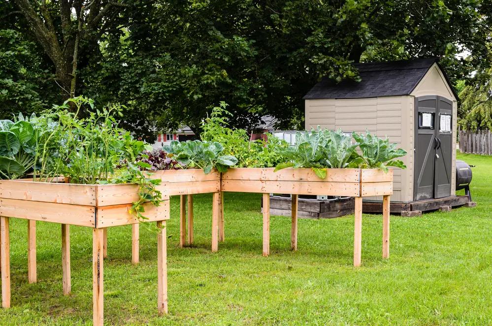 Accessible community garden beds and shed