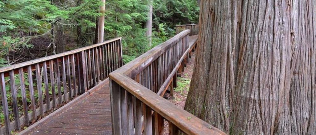 wheelchair accessible hiking trails